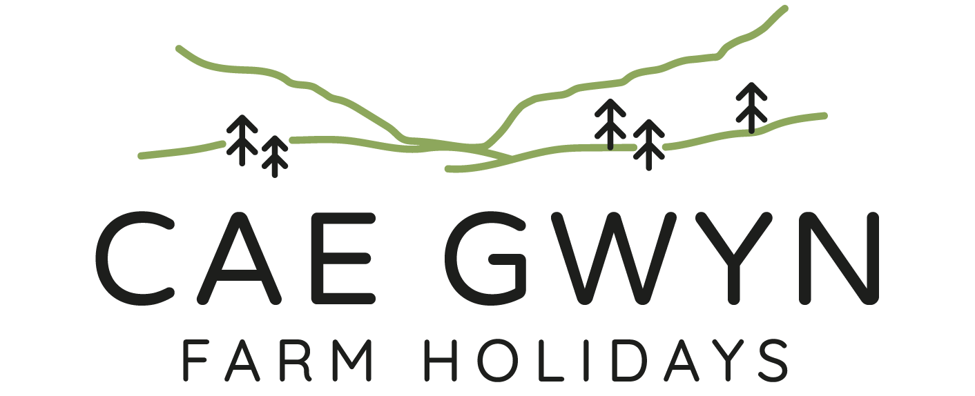 Cae Gwyn Farm Holidays